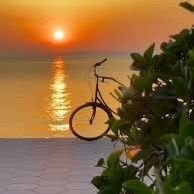 hanzade derin (@derin1hanzade) 's Twitter Profile