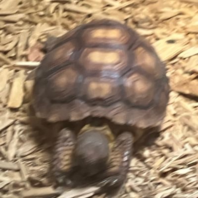 jayfenidk's profile picture. idk