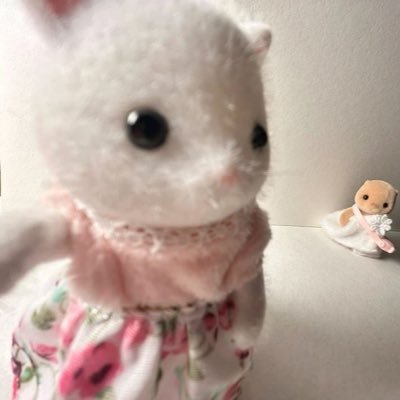 (⊃。•́‿•̀。)⊃ 21 ❦ dx an-b/p | cottagecore corpse | she/her | priv: @yogbowlyumz