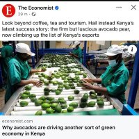 Kingdom billionaire (@kingbilionare3) 's Twitter Profile Photo