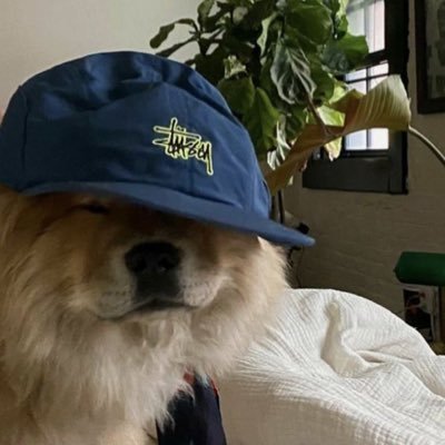 sさんのプロフィール画像