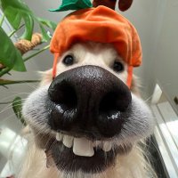Johnson smith (@josmith4579) 's Twitter Profile