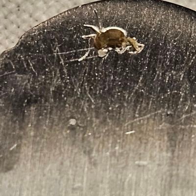 Persil60243188's profile picture. 