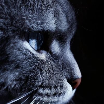 damiblake's profile picture. GRAPHICS DESIGNER || UIUX DESIGNER