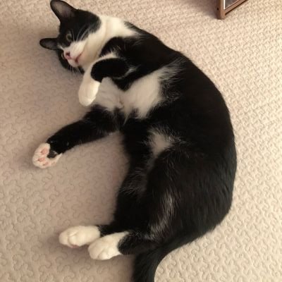Maki Yoshida art sub垢さんのプロフィール画像