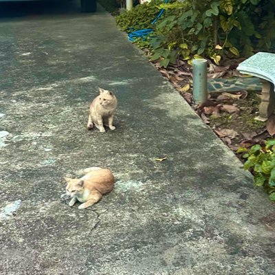 FallsfromFeb's profile picture. 