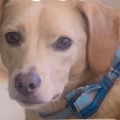 FlaDoggieLuver's profile picture. 