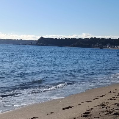 sss7050519's profile picture. 機械学習エンジニア。働きながら情報系の社会人大学院で強化学習と音響信号の研究に従事。三浦半島と品川区の2拠点生活。E資格、AWS＆Ciscoほか。柔道3段、筋トレ、ゴールドジム@ベンチ140kg、スクワット180kg。好き🩷美術館巡り＆クラシックコンサート＆洋書。生成動画に興味、仕組み化したい。