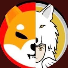 I am an investor in crypto and a die hard follower of shiba inu and waiting for the moment in life for retirement