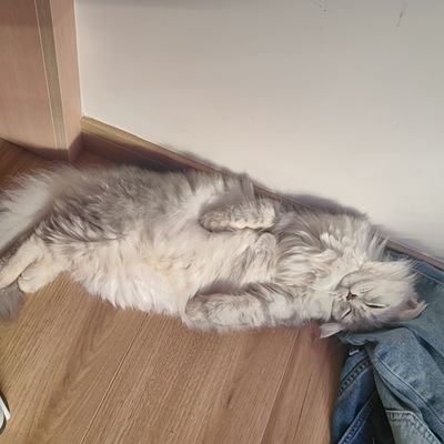 pkx1625013's profile picture. 互fo互fo，有fo必回