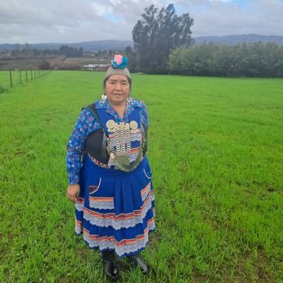 Ex Consejera Nacional Mapuche ante Conadi (2012 - 2016) Tarea finalizada
Consejera Nacional Mapuche ante Conadi (2022 - 2026)