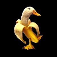 Yekoz🇹🇳 (@yekozfn) 's Twitter Profile Photo