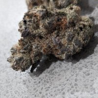 ItsUncle (@kpj) 's Twitter Profile