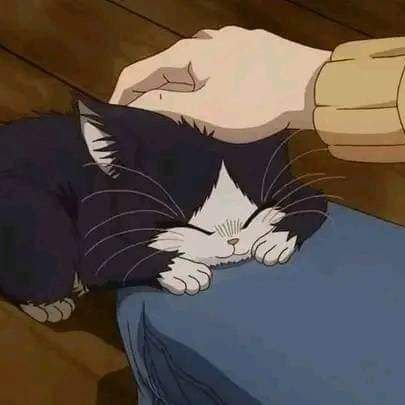 dodo_samy's profile picture. They say it's all been done but they haven't seen the best of me..
!!-//