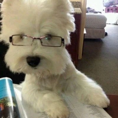 allinhaaaa's profile picture. he comes the boyy