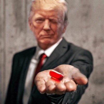 Evil has been vanquished from America with the landslide victory of Donald Trump. Praise the Lord and We The People.