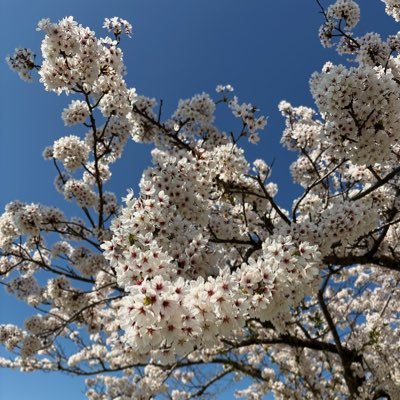 oikawa_hibito's profile picture. 漫画家。連載準備中につき徐行運転です。
現在新規のお仕事は2027年以降のスケジュールにてご相談となります。