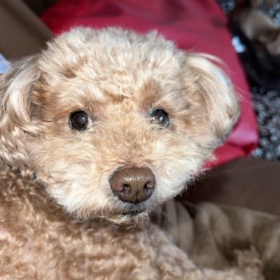 byonsan_713's profile picture. 馬🐎好き❤️競馬🏇好き