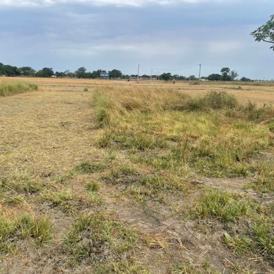 SailentSingh's profile picture. 100% फॉलो बैक मिलेगा