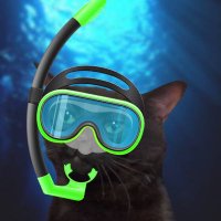 GRAFFITI 🖌️🖌️ (@graffiticon_) 's Twitter Profile