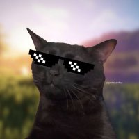 muhammad (@k33m33mar0) 's Twitter Profile