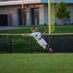 Kinnick Vos (@kinnick_vos) Twitter profile photo Kinnick Vos (@kinnick_vos) Twitter profile photo