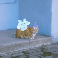 necosmic(ねこ) (@nekonekowendy) 's Twitter Profile