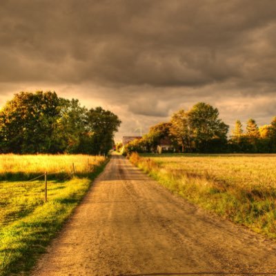 rafapinor's profile picture. 