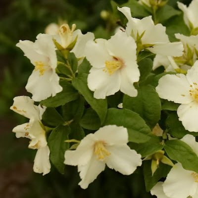 KuLa8073's profile picture. 