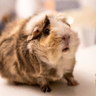 コンテンツマーケティングの立ち上げからお手伝いしています。MEOやSEOなどもお気軽にご相談ください。