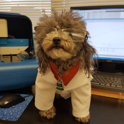 Environmental chemist & microbiologist at water reclamation facility. I play with water & mud all day. Living every 4-year-old's dream. Bonus: I have poodles!