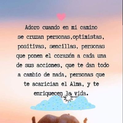 irmaguevar61094's profile picture. 