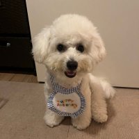 JP (@jumpei_fuj79) Twitter profile photo