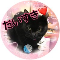 カーメンたん㊗️ (@takepi_125mmm) 's Twitter Profile