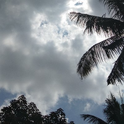 _rinnatanshiii's profile picture. Yukkk laa kita mutualan! Aku siap banget buat 100% auto follback kalian🫶