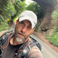 Mark Harding (@_markharding_) 's Twitter Profile