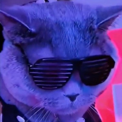 DarkMAGAHat's profile picture. the party's just getting started