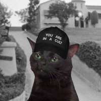 NFTZenMaster (💙,🧡) (@nftzenmaster) 's Twitter Profile Photo NFTZenMaster (💙,🧡) (@nftzenmaster) 's Twitter Profile Photo