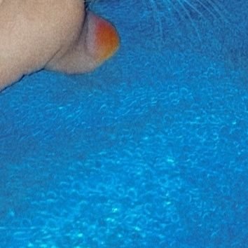 papapapap121's profile picture. 