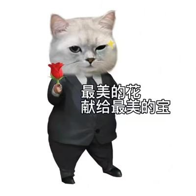 duoduo1666666's profile picture. 