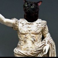 VicDconqueror.mo (@vdconqueror1) 's Twitter Profile