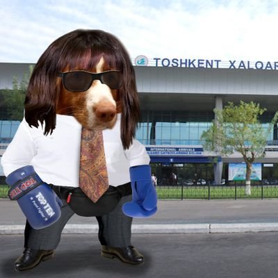 yeahyeahstrawb's profile picture. NAFO Main Bastard 🇬🇧 from the wretched hive of scum and villainy
Proud to be 'dangerously liberal'
Supporting Ukraine 🇺🇦 100%
No ruzzia = no problem