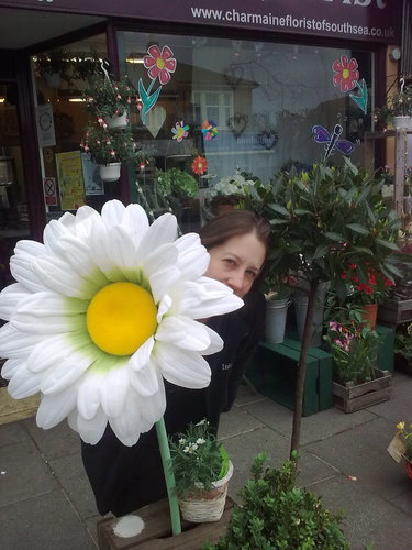 Charmaine1Kelly's profile picture. Friendly florists in Southsea (02392 733569) and Portchester (02393 074235). Delivering flowers & gifts. Order by 3pm for same day delivery.