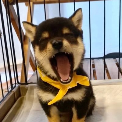 MimuraYuri92113's profile picture. 