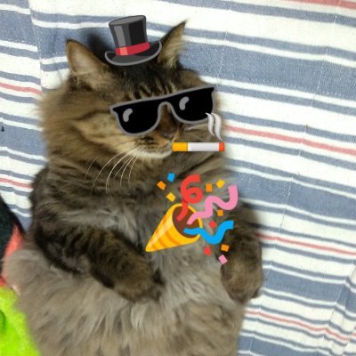 ta0ni3shi2's profile picture. 