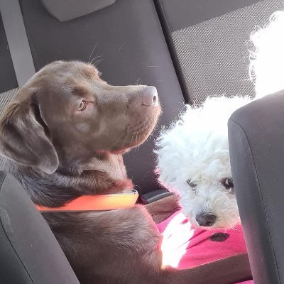 Te11111965's profile picture. 