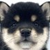 シバ (@shiba_soshi) Twitter profile photo シバ (@shiba_soshi) Twitter profile photo