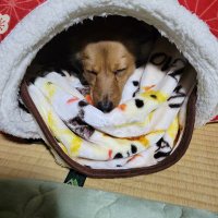 Takayuki.25 (@takayuki251011) 's Twitter Profile