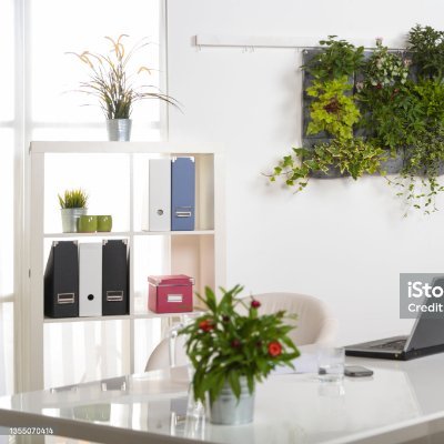 Hardsofteng's profile picture. Sports/Tech/Jackofallmasterofnone