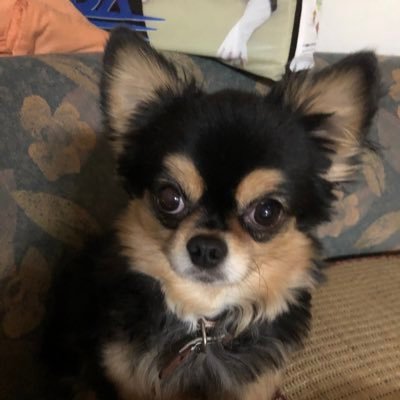 watson_sep's profile picture. 見る専&ゲームは情報集め とっくに成人済😂 超多趣味でいろんなとこに顔出します🫶🏻